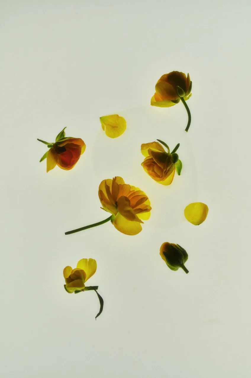 Scent Oil - Moonlit Flower — product detail image 4